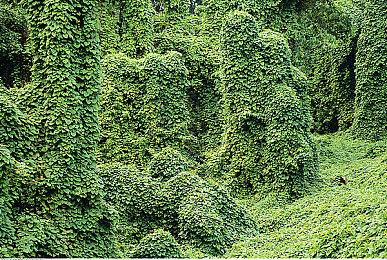 《严阵以待》社区经理锐评查理·柯克遇刺事件后被解雇