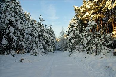 《别跑！美女在追你》在Steam正式发售 优惠价20元