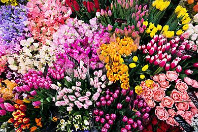 《质量效应》游戏首席编剧：愿意给电视剧当顾问